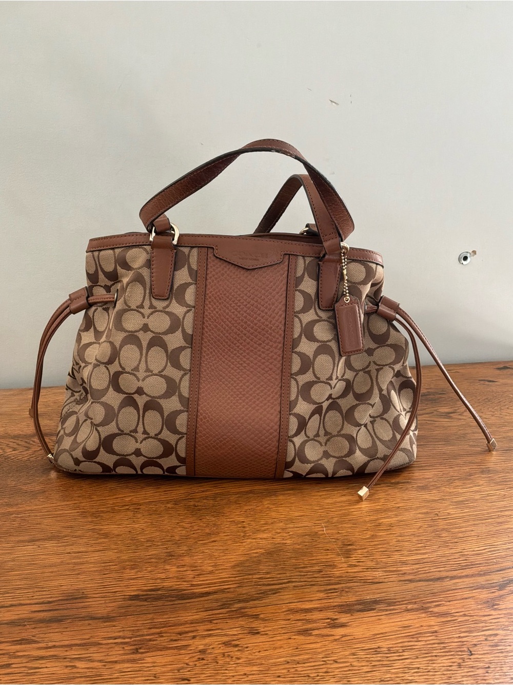 Coach Signature Brown/Khakl Python Stripe Carryall E1495-F29863